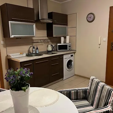 Radek 9 Wladyslawowo