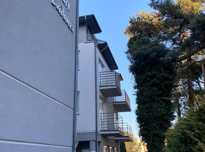 Radek 9 * Władysławowo